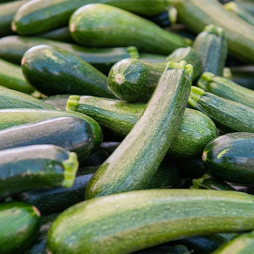 Zucchini